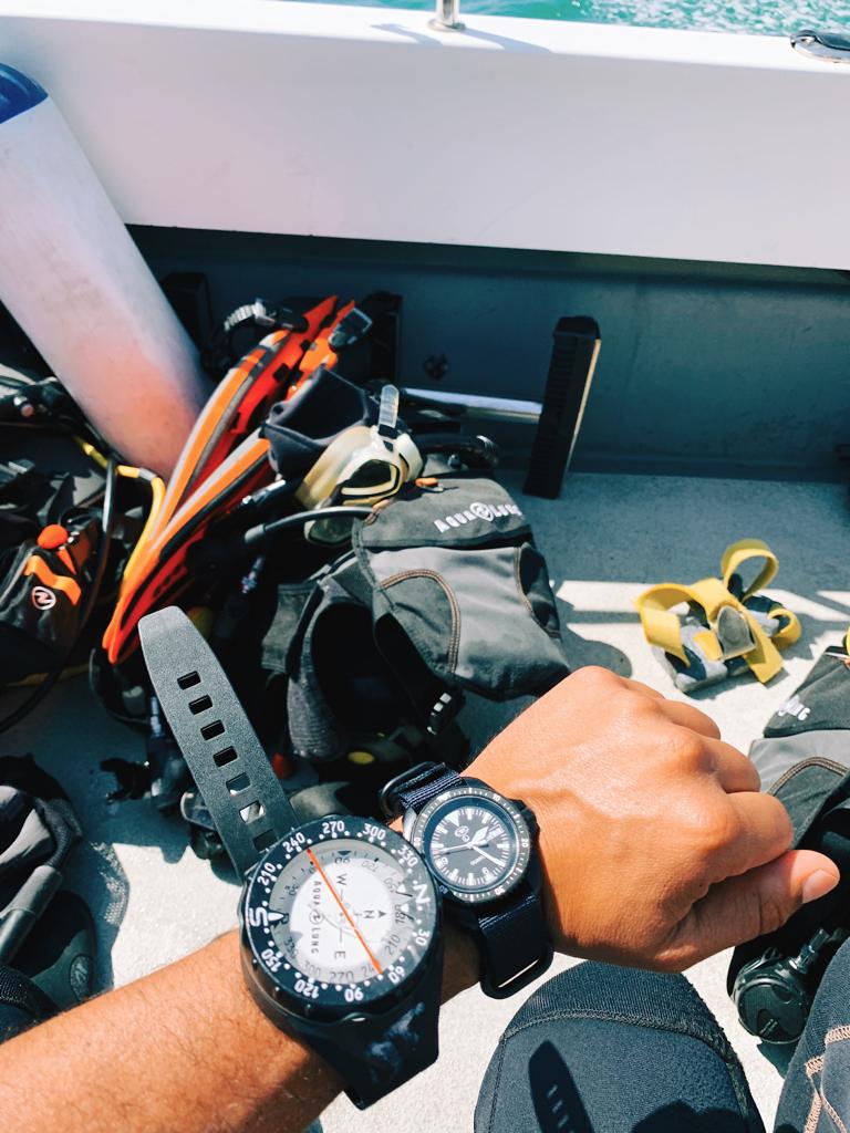 Diver best sale watch 2019